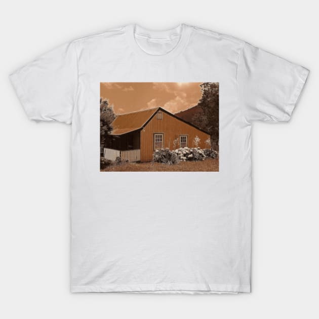 Old Cottage, Pilgrim's Rest, South Africa T-Shirt by vadim19